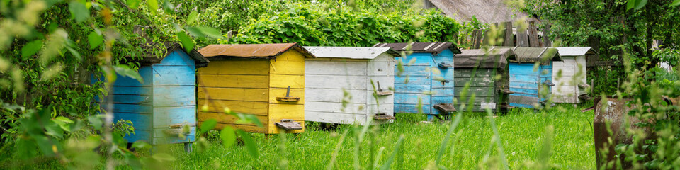 Fototapeta wooden coloured hives of honeybees located on green meadow obraz