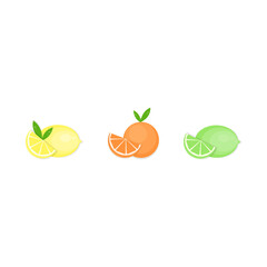 These are citrus fruits. Lemon, lime, orange, mandarine on white background.