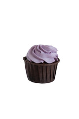 Delicious  cupcake with lilac cream isolated on white background.