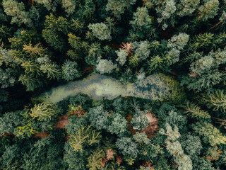 Aerial drone shot top down to the fairytale lake in the forest of Wendelsheim