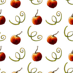 Seamless pattern with pumkins and leaves on white background. Hand draw illustration.