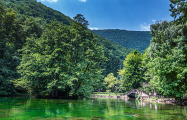 Green oasis