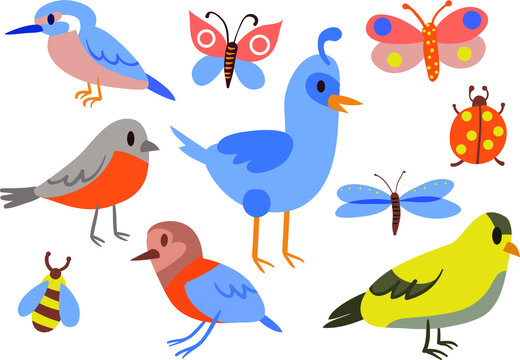 collection of colorful artistic birds vector illustration