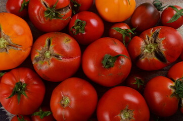 Abundance ripe organic tomatoes on dark rustic background. Colorful tomatoes 