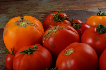 Abundance ripe organic tomatoes on dark rustic background. Colorful tomatoes 