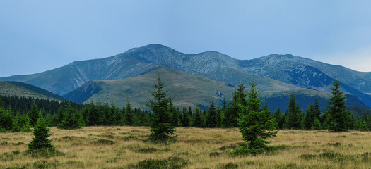 Fototapeta na wymiar Parangul Mare Peak seen from its base. Summer
