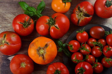 Abundance ripe organic tomatoes on dark rustic background. Colorful tomatoes 