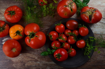 Red, ripe tomatoes and basil, dill on a dark background. Harvesting organic tomatoes