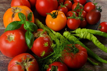 Fototapeta na wymiar Red, ripe tomatoes and basil, dill on a dark rustic background. Harvesting organic tomatoes