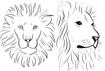 Wild drawing animal, vector illustration