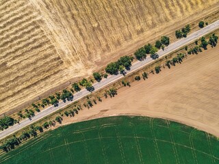.road in the middle of the field