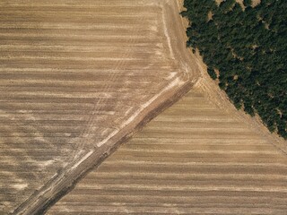 .field texture top view from drone