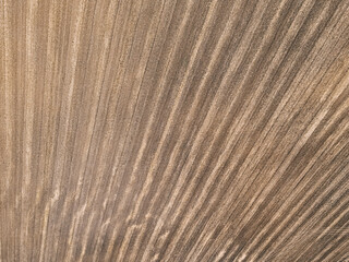 .field texture top view from drone