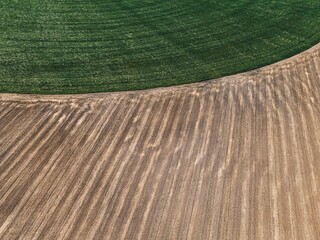 .field texture top view from drone