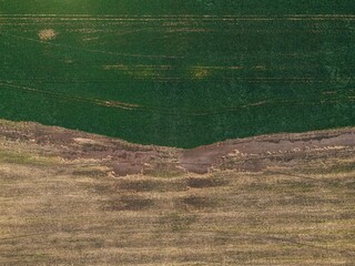 .field texture top view from drone