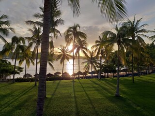 Fototapeta premium Sunrise among the palm trees