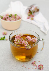 Freshly brewed herbal clover tea in glass mug, closeup view