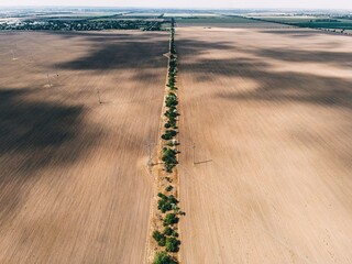 .texture of fields and trees top view