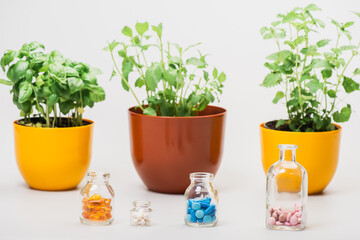 selective focus of green plants in flowerpots near pills in glass bottles on white background, naturopathy concept