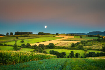 Fototapeta premium Agriculture fields at sunset and full moon on the sky