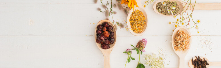 panoramic shot of herbs in spoons and flowers on white wooden background, naturopathy concept
