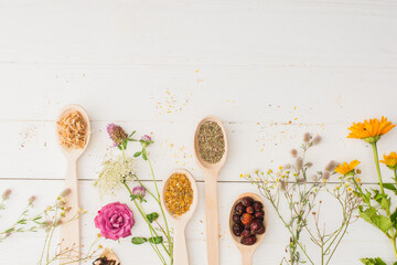 top view of herbs in spoons and flowers on white wooden background, naturopathy concept © LIGHTFIELD STUDIOS