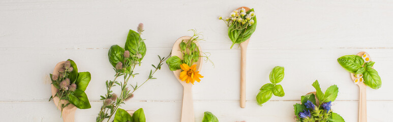 panoramic shot of herbs and green leaves in spoons near flowers on white wooden background,...