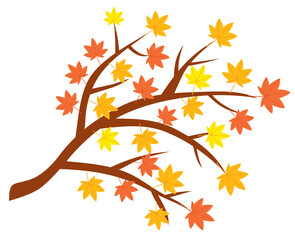 秋に色づいた赤や黄色の紅葉の木の枝