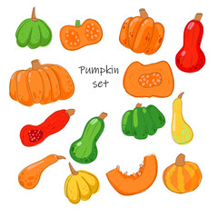 Set of different types of pumpkins. For Thanksgiving Day. Autumn mood