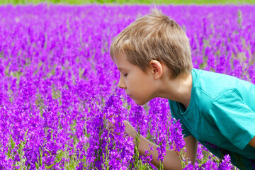 Young Boy Smells Violet Delphinium Flowers in Spring Field. Happines Concept of Childhood in...