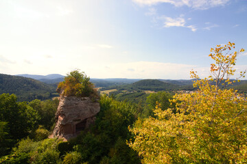 Fototapeta na wymiar large rocks in the Palatinate Forest