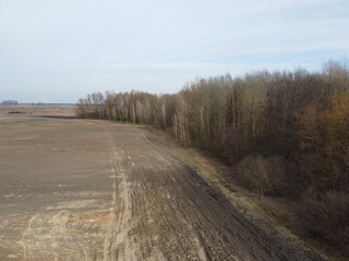 Agricultural field near the forest, aerial view. Landscape.