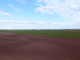 Vast farmland on a sunny day, aerial view. Sown agricultural field.