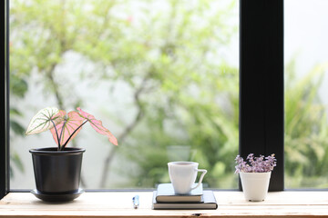 Phyllanthus Mirabilis plant with white coffee cup and notebooks on brown wooden table  