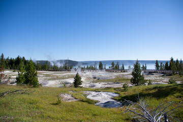West Thumb Geyser Basin