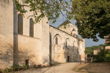 Fototapeta na wymiar Abbaye de Nouaillé-Maupertuis (86) - FR