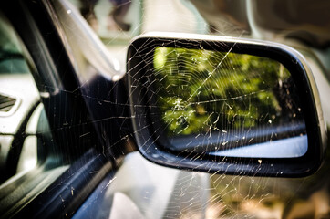 cobwebs on the rear-view mirror of a car, abandoned vehicles on city streets