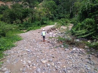 People in the forest