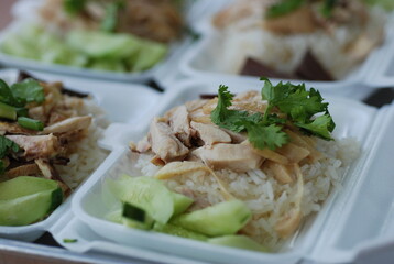 Chicken rice on street food in Thailand