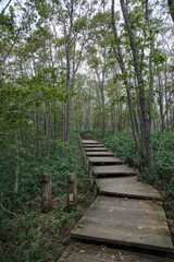 Boardwalk at Kushiro Shitsugen national park, Hokkaido, Japan