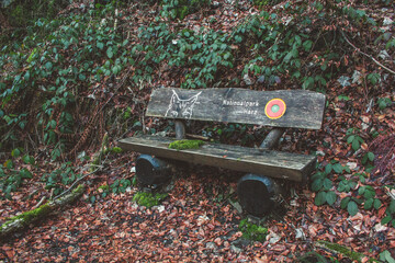 Wooden bench in Harz Mountains National Park, Germany