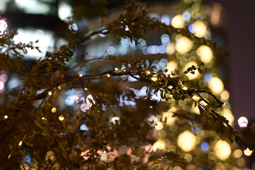 christmas tree lights
