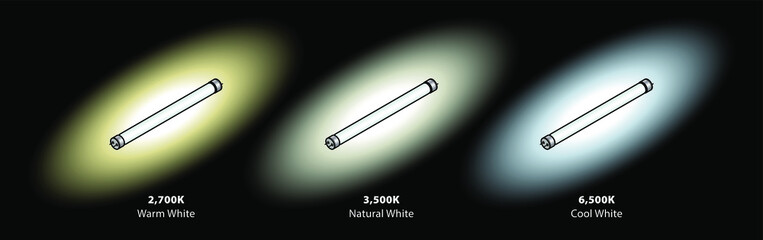 Three common colour temperatures of fluorescent tubes. In warm, natural and cool whites.