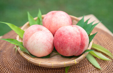 Sweet White Peach fruits in blur background, Fresh white peach in Bamboo basket on wooden table in garden.