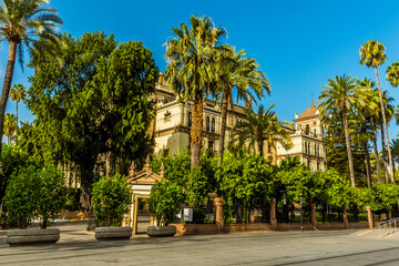 Fototapeta na wymiar A view along a street in Seville, Spain in the summertime