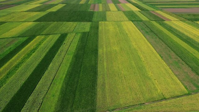Aerial view of beautiful plain countryside landscape with cultivated fields of corn and sunflower