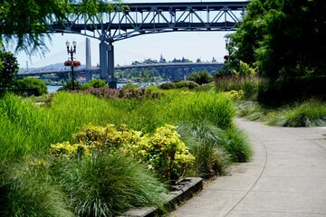 Portland riverside garden