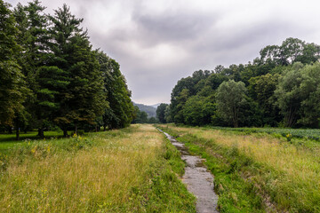  Beautiful green forest and stream