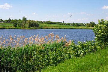 Blue lake on the background of green slopes in the village