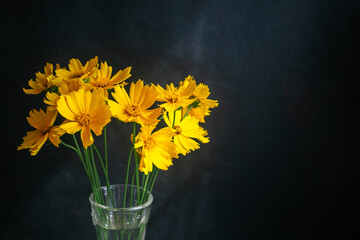 Beautiful yellow flowers in a sunlight. Dark background.